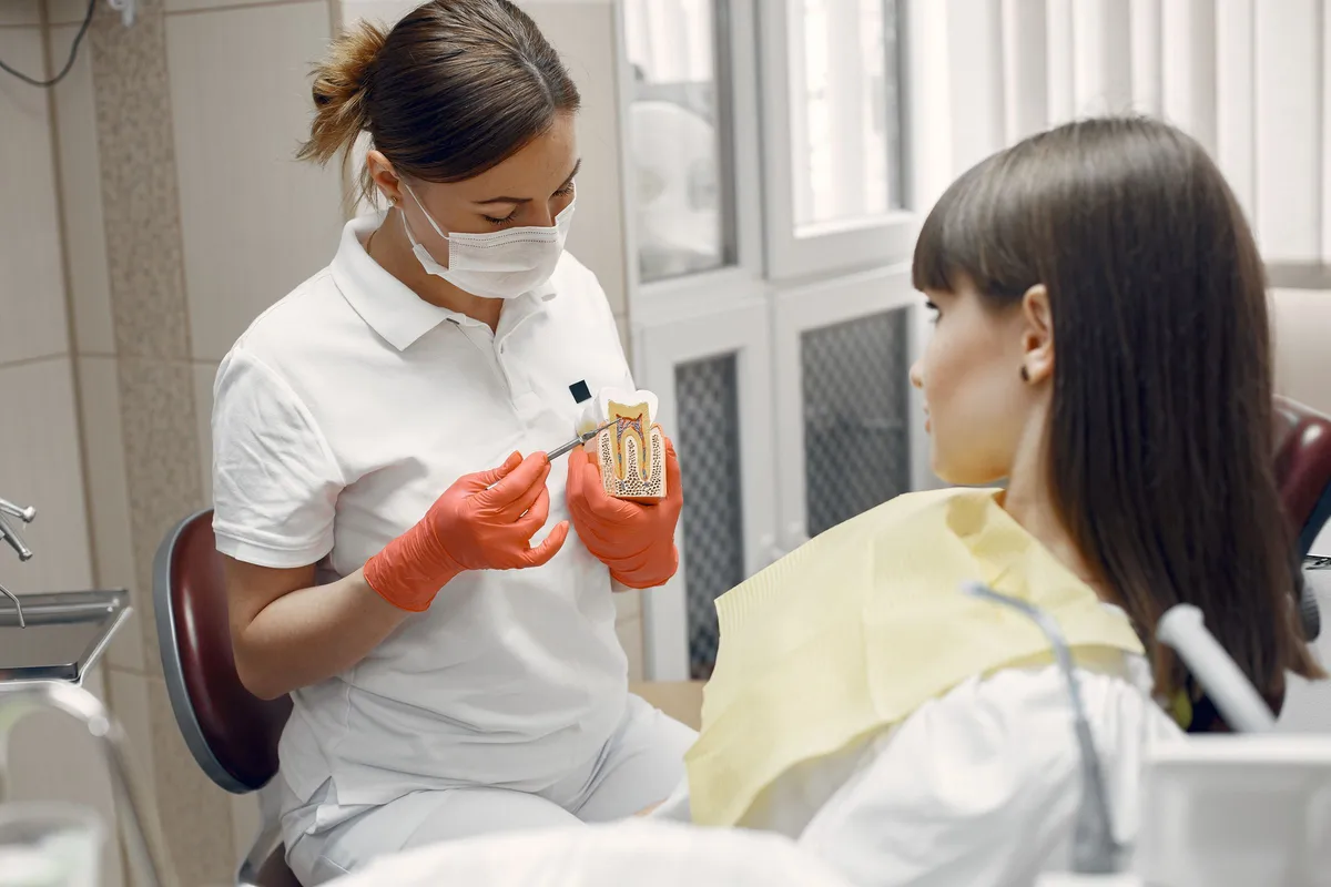 Explication de soins avec un modèle dentaire, photographie d’illustration hors cabinet